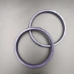 Rod seal RPO 110x125x12 [2ERPO110]